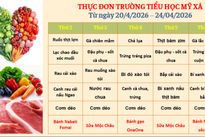Thực đơn tuần 4/4