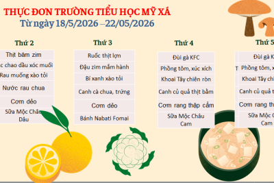 Thực đơn tuần 4/5